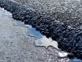 � ������ ��������� �������� ����� �� ���� ������