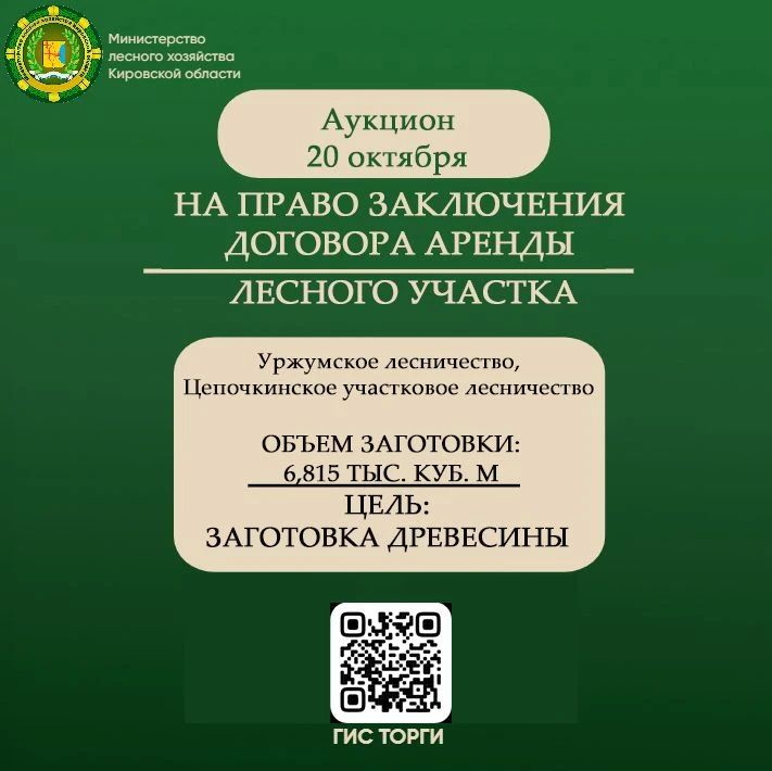 Министерство лесного хозяйства Кировской области 20 октября 2026 года проводит аукцион на право заключения договора аренды лесных участков на территории Уржумского лесничества, Цепочкинского участкового лесничества