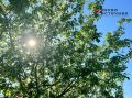 �������� ��� �� +25�C: ������������ ���������� ��������� ���������