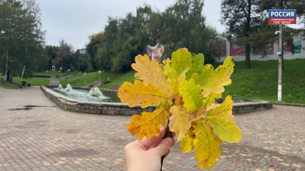В четверг, 10 сентября, в Кировской области ожидается облачная с прояснениями погода, без существенных осадков, сообщили в региональном центре по гидрометеорологии и мониторингу окружающей среды