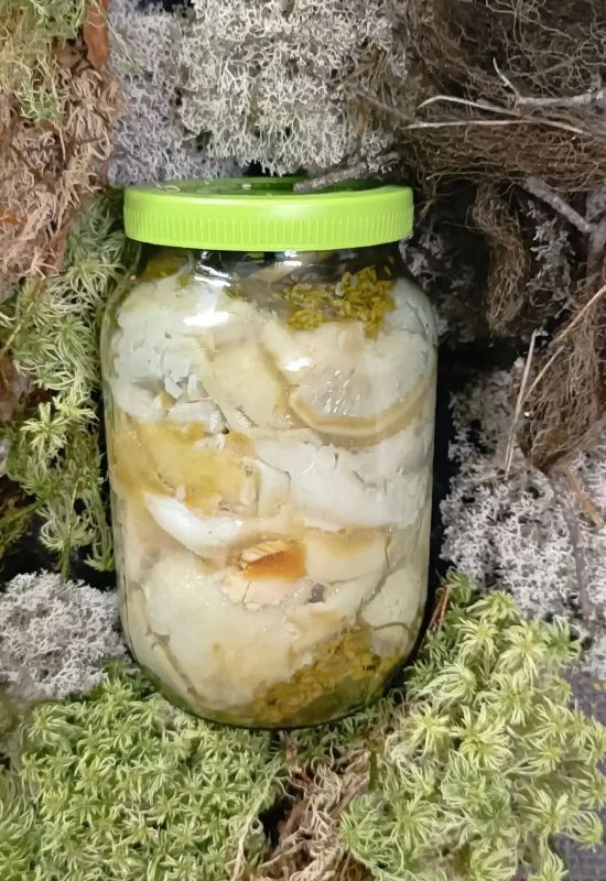 Семья из Кирово-Чепецка поделилась рецептом груздей и секретом семейного счастья Семья из Кирово-Чепецка поделилась рецептом груздей и секретом семейного счастья