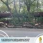 Специалисты территориального управления по Октябрьскому району регулярно выявляют бесхозяйное имущество на земельных участках, которые не были предоставлены для этих целей в установленном порядке