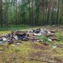 В Кировской области ликвидированы пять несанкционированных свалок на землях лесного фонда