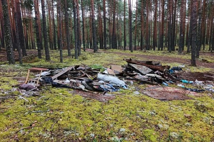 В лесах Кировской области ликвидировали 25 свалок
