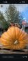 Известная блогерша Катя Клэп показала в соцсетях фото с огромной тыквой на ВДНХ