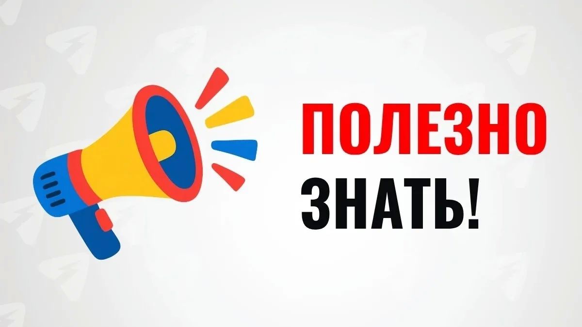 Кировские продавцы «Вайлдбериз» получат поддержку после атак на площадку