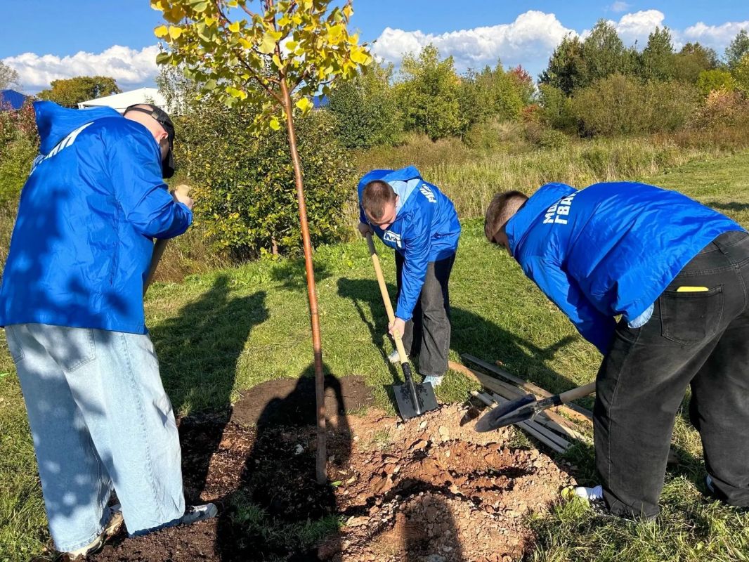 В Молодёжном парке высадили 33 дерева В Молодёжном парке высадили 33 дерева