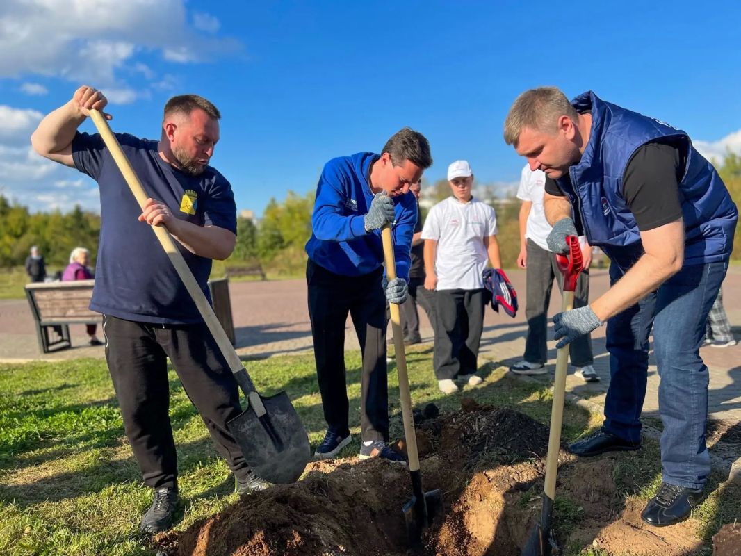 В Молодёжном парке высадили 33 дерева В Молодёжном парке высадили 33 дерева