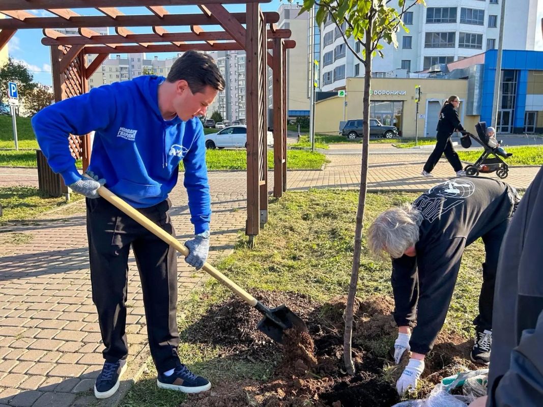 В Молодёжном парке высадили 33 дерева В Молодёжном парке высадили 33 дерева
