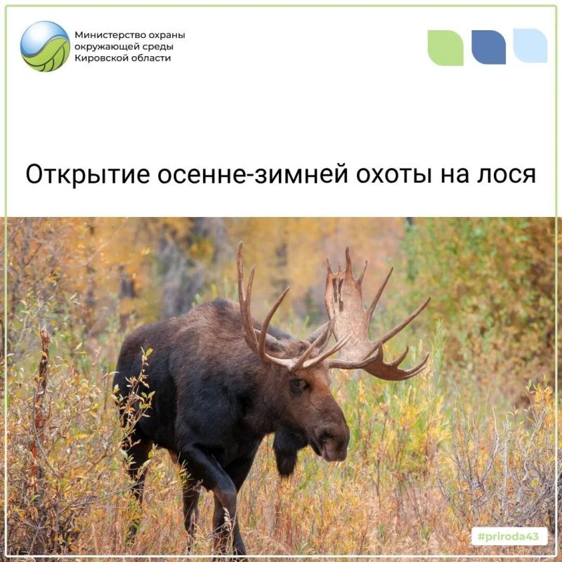 Экология начинается с каждого: в Кировской области прошёл слёт юннатов Движения Первых Экология начинается с каждого: в Кировской области прошёл слёт юннатов Движения Первых
