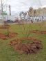 Коммунальщикам в Кирове выдадут карты посадок для защиты от снегоуборочной техники