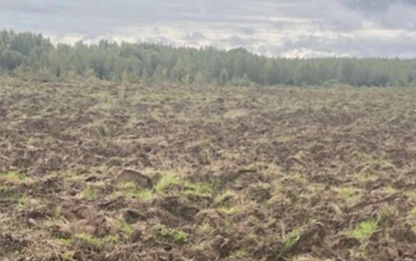 В Яранском районе вернули в оборот 282 гектара сельхозземель