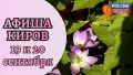 ����������� � ������ 19 � 20 ��������: �����