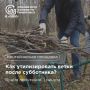 Кто отвечает за вывоз веток после субботника?