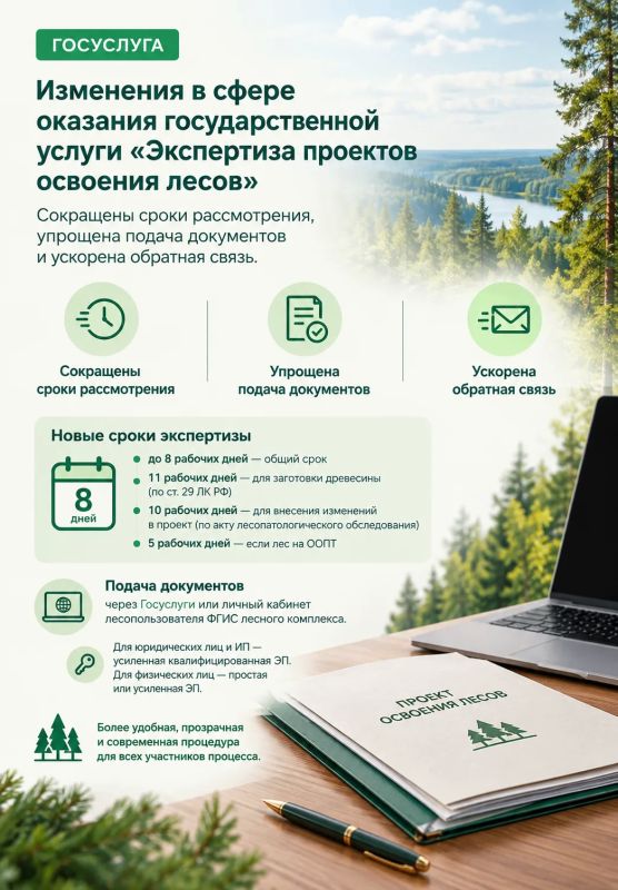 Изменения в сфере оказания государственной услуги «Экспертиза проектов освоения лесов»: сокращены сроки рассмотрения, упрощена подача документов и ускорена обратная связь