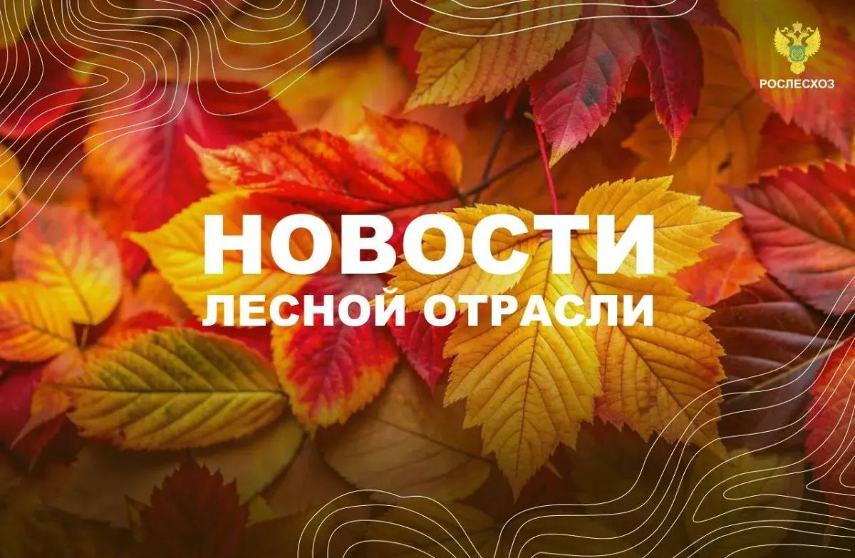 За прошедшие сутки в 8 регионах России потушили 11 лесных пожаров За прошедшие сутки в 8 регионах России потушили 11 лесных пожаров