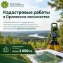 В Кировской области проведены кадастровые работы для дальнейшего предоставления лесных участков