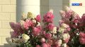 � �������, 24 ��������, � ��������� ������� ��������� ���������� ���������� � ��� �������, �������� � ������������ ������ �� ����������������� � ����������� ���������� �����