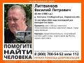 Волонтеры поискового отряда «Лиза Алерт» обратились к водителям Слободского района за помощью в поисках 46-летнего Василия Литвинова