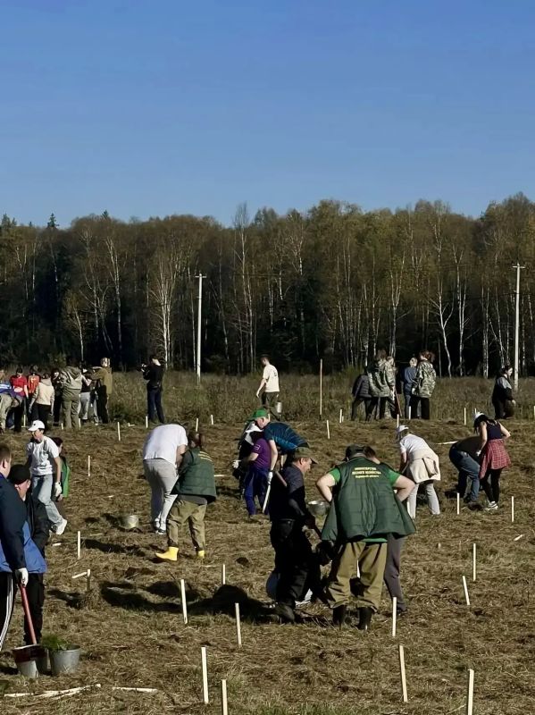 В Кировской области состоялось центральное мероприятие всероссийской акции «Сохраним лес» В Кировской области состоялось центральное мероприятие всероссийской акции «Сохраним лес»