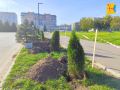 В Кирово-Чепецке появилась новая аллея