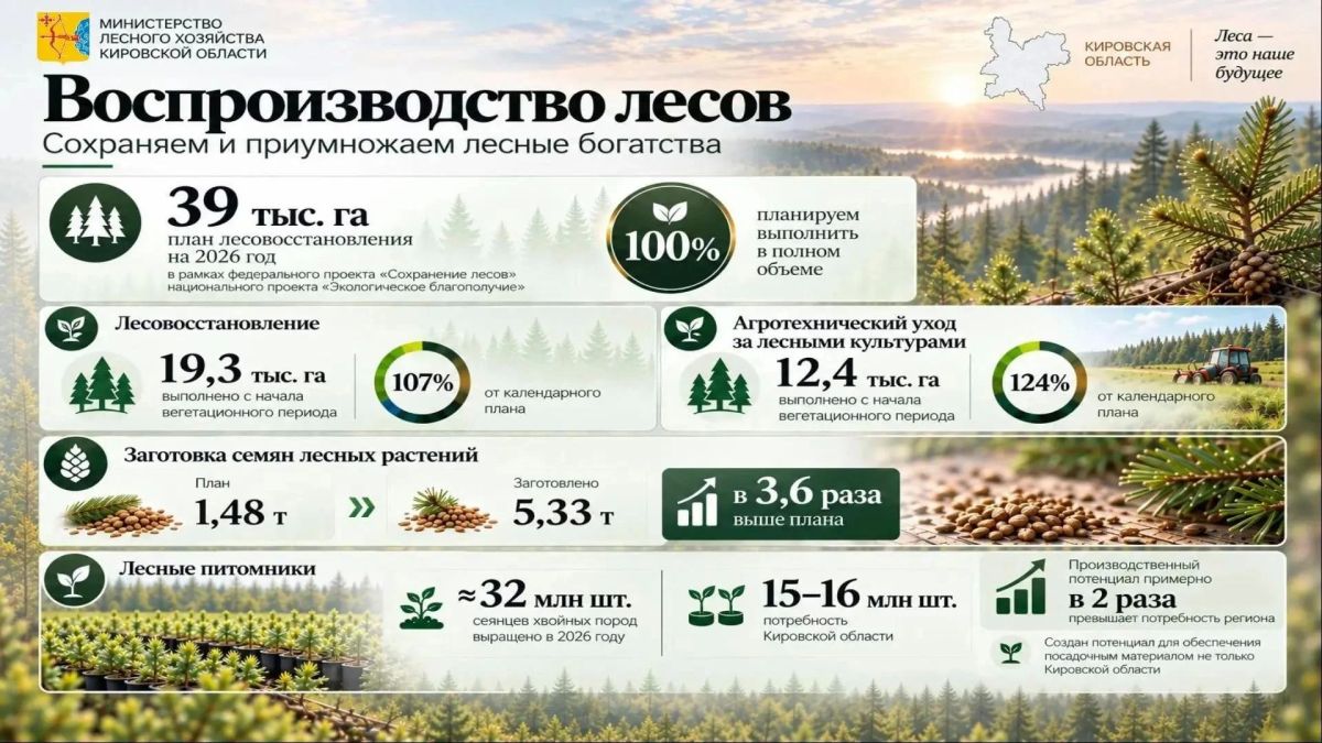 Александр Соколов: На еженедельной планерке рассмотрели развитие лесной отрасли