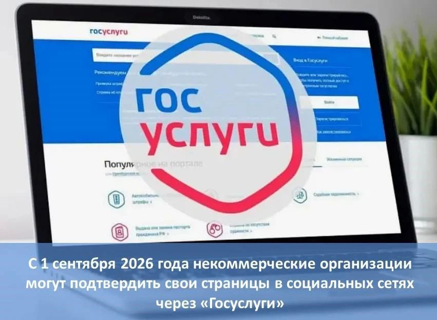 НКО могут верифицировать свои страницы в «ВКонтакте» и «Одноклассниках» через «Госуслуги»