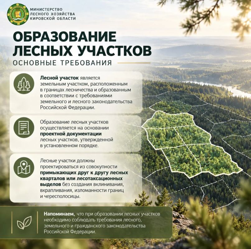 Министерство напоминает о требованиях при образовании лесных участков