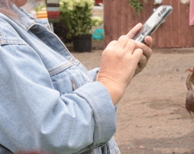 В Кировской области 20% жителей установили самозапреты на кредиты
