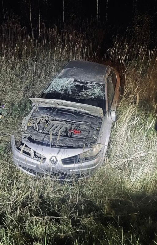 В Советском районе водитель автомобиля "Рено Меган" совершил наезд на медведя, после чего машина съехала с дороги и опрокинулась