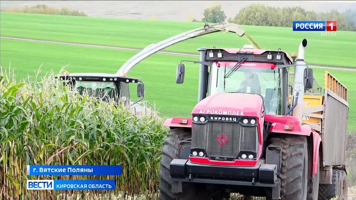 В Вятскополянском районе продолжается уборочная кампания кукурузы