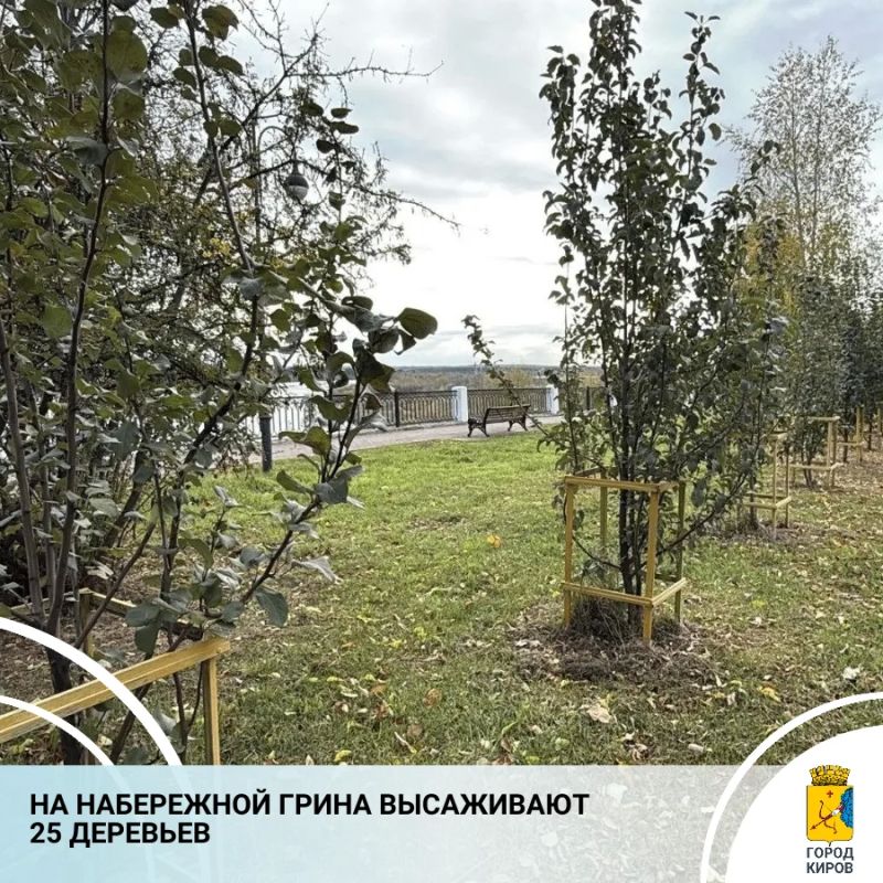 На набережной Грина специалисты дирекции благоустройства высаживают деревья