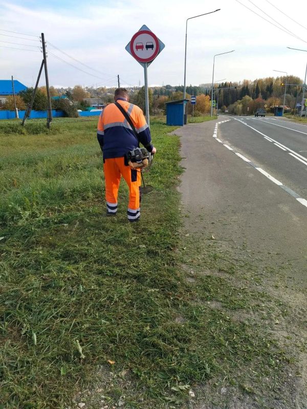 Птички поют, листья опадают, иногда дождь