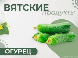 Продолжаем рубрику «Вятские продукты»!