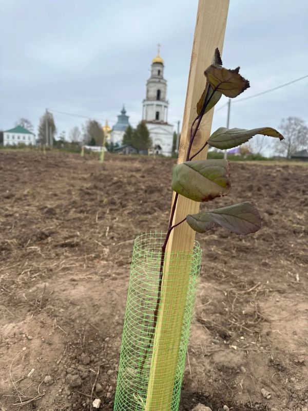 ООПТ «Великорецкое» продолжается обустройство экологической тропы ООПТ «Великорецкое» продолжается обустройство экологической тропы