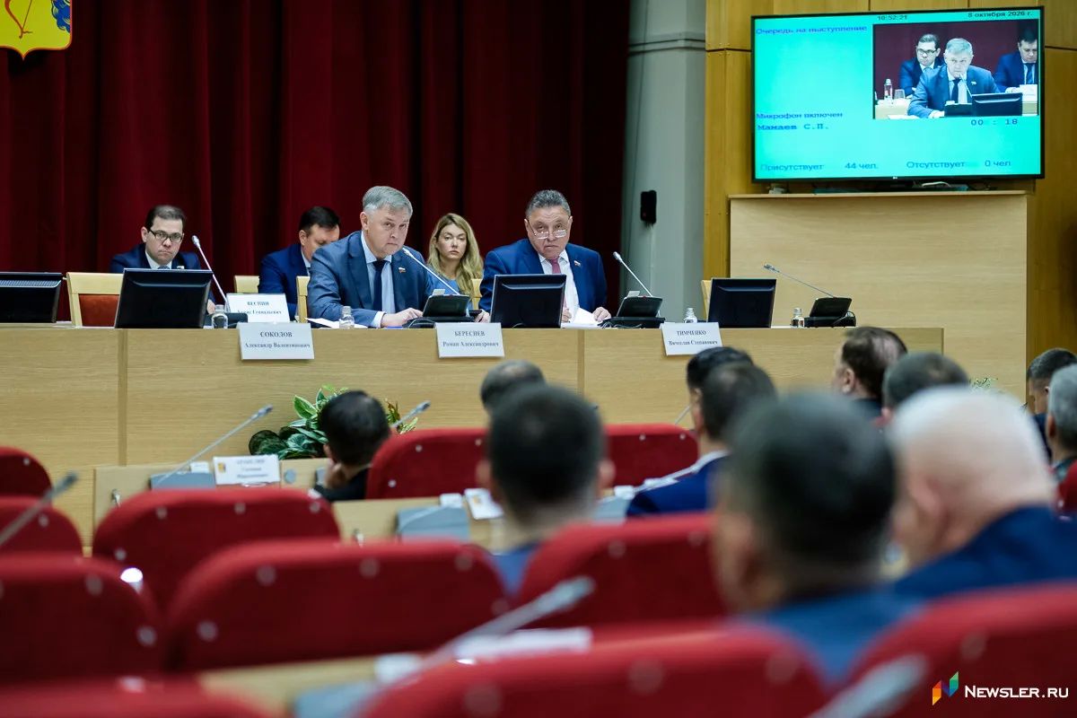 Депутаты Законодательного собрания приняли обновленное положение о Молодежном парламенте
