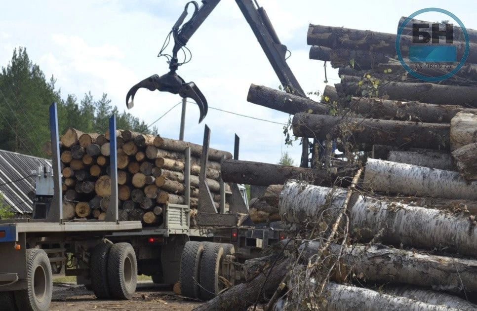 Пестриков прокомментировал ситуацию с изменением суммы платежей за использование лесов