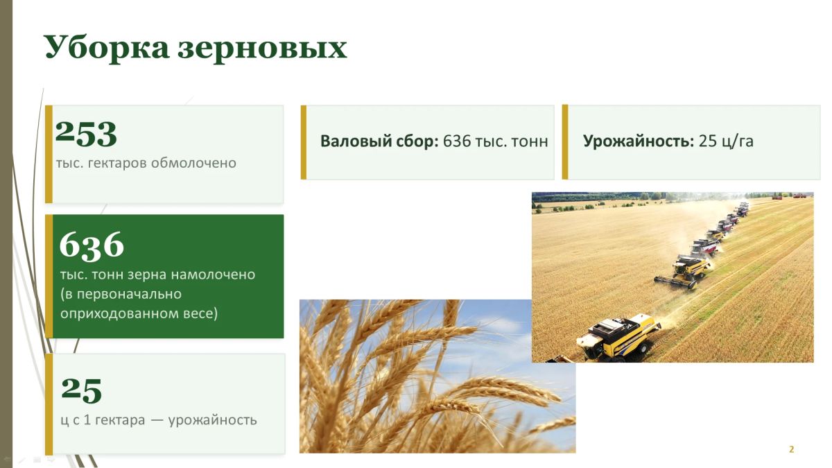 Владимир Огородов, и.о. министра сельского хозяйства и продовольствия: