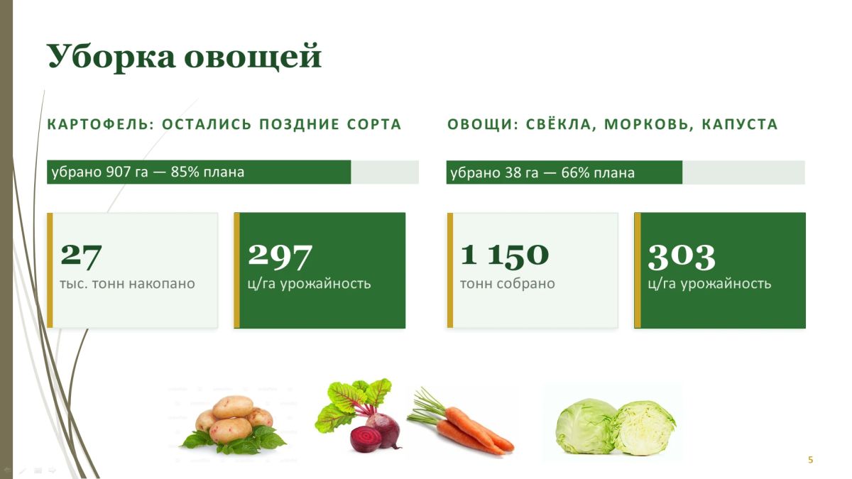 Владимир Огородов, и.о. министра сельского хозяйства и продовольствия: