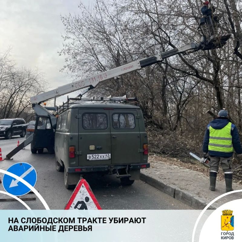 В дирекции благоустройства сообщили о начале работ по уборке аварийных деревьев на Слободском тракте у старого моста