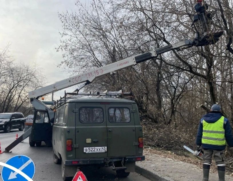 В Кирове начнут удалять аварийные деревья у Старого моста