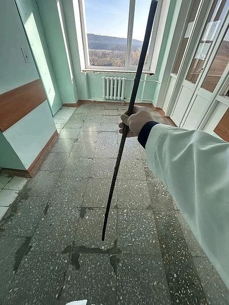 Штырь остановился в сантиметре от сердца: мальчик чудом выжил после падения с высоты в Кировской области Штырь остановился в сантиметре от сердца: мальчик чудом выжил после падения с высоты в Кировской области