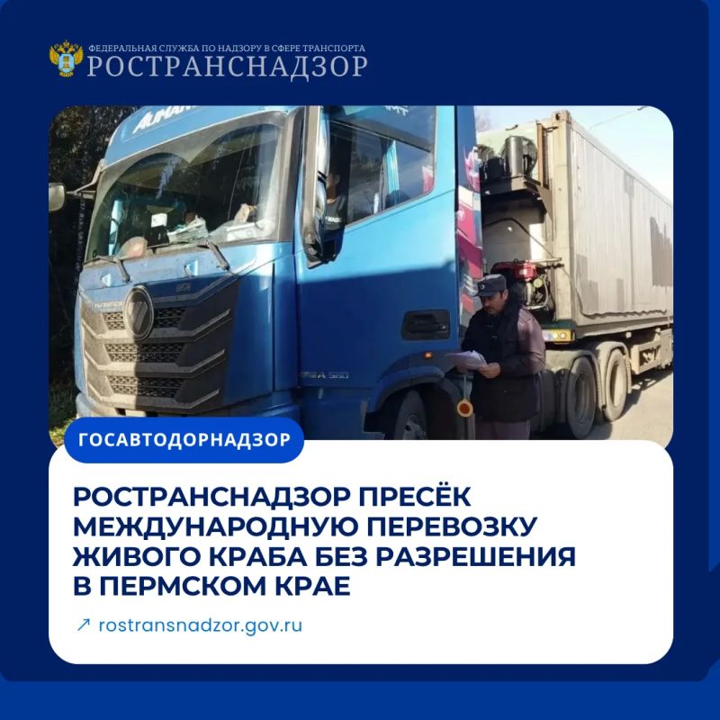 Ространснадзор пресёк международную перевозку живого краба без разрешения в Пермском крае