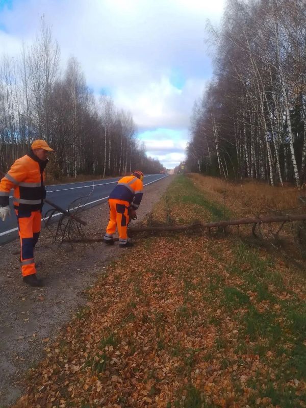 Опять эти ребята в оранжевом? Опять эти ребята в оранжевом?