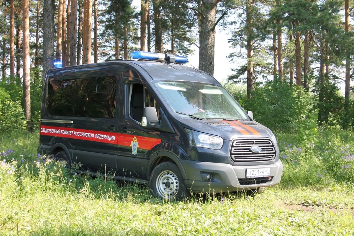 Трое жителей Кировской области предстанут перед судом за покушение на незаконный сбыт наркотиков