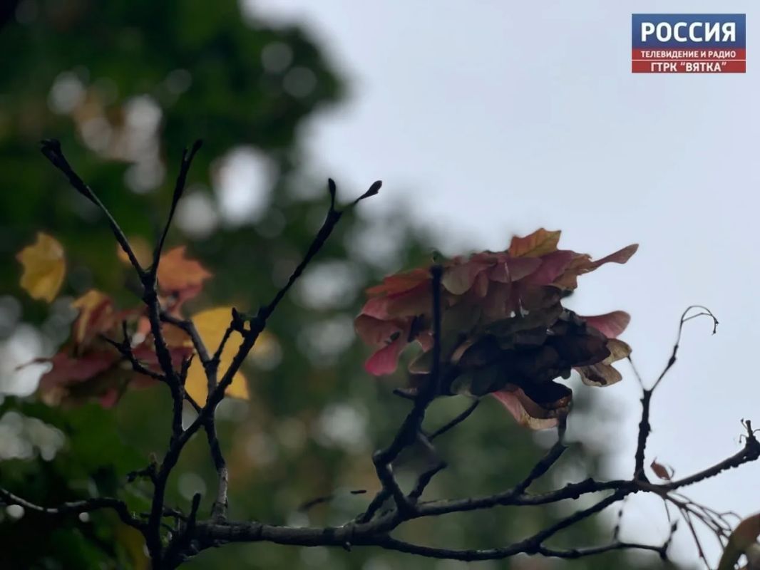 В среду, 28 октября, в Кировской области прогнозируют переменную облачность без существенных осадков, рассказали в региональном центре по Гидрометеорологии и мониторингу окружающей среды