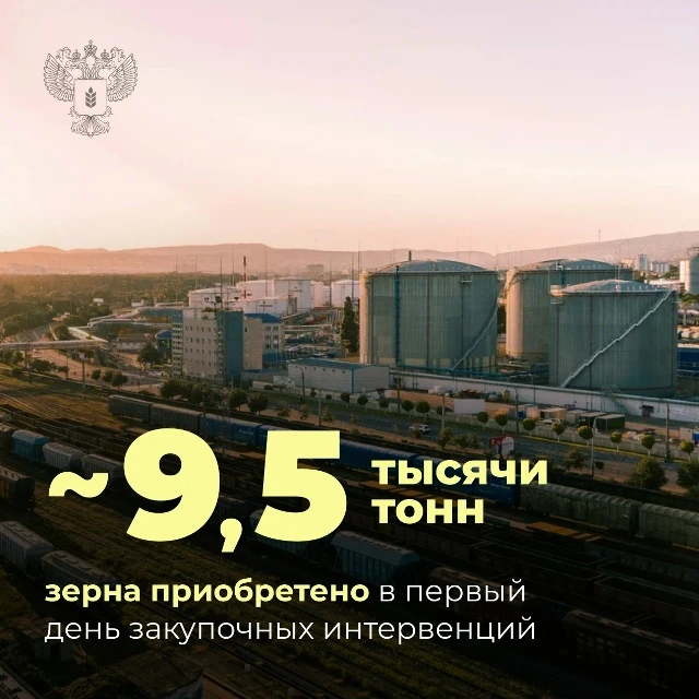 В России стартовали государственные закупочные интервенции зерна